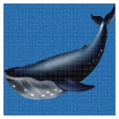 whale